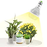 SANSI 15W Ampoule Horticole LED E27 à Plein Spectre pour Plantes Intérieures, 200W Lumière de Culture Plante avec Lentille Dépolie ...