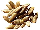 Seigle Marcelo NT - 500 grammes - Secale Cereale - Rye - (Engrais vert) - SEM27