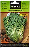 Semences potagères de Batlle - Chicorée silvestre Diente de León (8g)