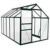 Serre de Jardin 1.9mx3.1m avec Cadre Aluminium et Panneaux Polycarbonates avec Fenêtre et Porte Coulissante Jardinerie Plantes Vertes Jardinage Horticulture ...