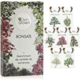 Set de graines bonsaï : Kit graines à planter avec 7 variétés de graine bonsai - Graines d'arbre bonzaï, plante ...