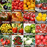 Set de graines de tomates PRADEMIR – 16 variétés de tomates - Graines 100% naturelles du Portugal - Variétés rares ...
