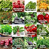 Set de graines "Indoor" PRADEMIR – Set spécial plantation d’intérieur – 16 variétés de fruits, herbes et légumes – Graines ...