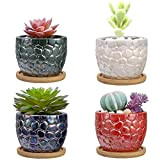 Shinowa [Lot de 4 Pot de Fleurs en Céramique, Mini Pots de Plante Décoratifs Motif d'Écailles en Couleurs avec Plateau ...