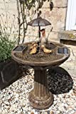 Smart Garden Fontaine de jardin solaire aspect bronze ornée d’une famille de canards sous un parapluie