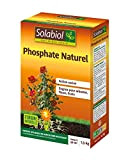 SOLABIOL SOPHO15G10 Phosphate Naturel 1,5 Kg,