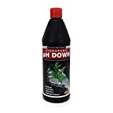 Solution de pH Down 81% - 1 litre - GROWTH TECHNOLOGY