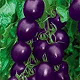Souked 20 Graines Violet Tomate cerise fruits biologiques légumes usine