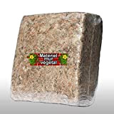 Sphaigne de Madagascar 1KG (substrat pour Mur végétal)