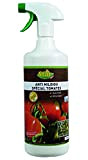 Start Anti mildiou spécial Tomates PAE 1L 1L MT1