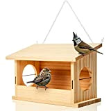 Station d'alimentation des oiseaux