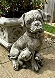 Statue de chien boxer et chiot en pierre | Sculpture de jardin en extérieur