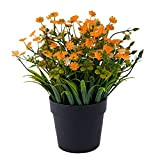 Steelwingsf Mini plante artificielle en pot - Orange