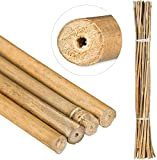 Suinga. Lot de 25 tuteurs en bambou 120 cm, diamètre 9-12 mm. Tiges bambou, pour plantes, couleur naturelle, utilisation agricole ...