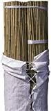 Suinga. Lot de 50 tubes de bambou 180 cm, diamètre 10-14 mm. Tuteurs pour plantes, tiges en bambou naturels respectueux ...