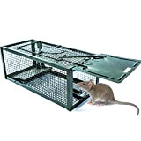 T-Raputa Cage piege Rat, piège à Souris,Grand piège à Souris utilisé pour Attraper des Rats intérieurs et extérieurs, des écureuils, ...