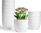 T4U 10 pcs Pot de Fleur d'arrosage Automatique 12 cm Blanc Niveau d'eau Visible Maison Décorative Fleur Pot Fleurs Applicables, ...