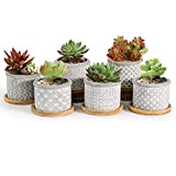T4U 6CM Pot de Fleur, Succulent Pots de Plantes avec Plateau Bambou Lot de 6, Mini Moderne Concrete Cactus Jardinières ...