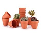 T4U Pots de Fleurs Intérieur/Extérieur 12pcs 4CM Mini Pot en Terre Cuite de Succulent Cactus pour Cactus Succulent Plantes Fleur ...