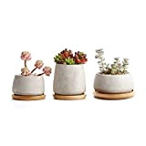 T4U Pots de Succulent Cactus en Ciment avec Plateau en Bambou Série Pots de Fleurs Jardinières Conteneurs Boîtes de Fenêtre ...