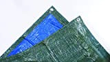 Tec Hit 890300 étanche-Couverture extérieure-bâche de Protection 5 mètres x 8 mètres-890300, Bleu/Vert, 5 x 8