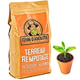 Terre D'AUGUSTE - Terreau Rempotage 6L avec Fermeture Eclair Refermable - Solution Spécifique pour Plantes en Pot - Toutes Les ...