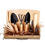 the lux | Lot de 10 mini outils de jardinage d'intérieur dans une boîte pour les amateurs de plantes, outils ...