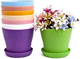 TOKERD Lot de 10 pots de fleurs et soucoupes en plastique coloré avec plateaux d'égouttement pour décoration de maison ou ...