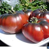Tomate ''Noire de Crimee'' 25 x Graines 100% Naturelles sans Propagateurs Chimiques ni Génie Génétique - du Portugal