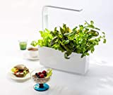Tregren T6 Potager d'intérieur Connecté 6 plantes, Kit prêt à pousser et Jardinière Autonome pour herbes aromatiques, petits légumes, fleurs ...