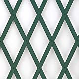 Trepls Treillage extensible en PVC 0,50x2 m vert