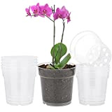 TSKDKIT 10 pièces Pot Fleurs Transparents Plastique Pot de Fleur Petits Pots à Orchidée Plastique Pot pour orchidée, Jardin, Balcon, ...