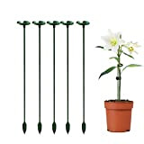 Tuteur Plante Grimpantes Support Orchidées - 27 cm, avec Anneau Support, Aidez Vos Fleurs à Pousser, pour Jardin, Tomates, Monstera, ...