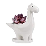 Ulikey Pot de Céramique Succulente avec Soucoupe, Pot de Fleur Cactus Forme de Dinosaure, Mini Intérieur Pot de Plante Cadeau ...