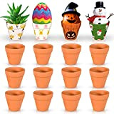 Ulikey Super Mini Pots de Fleurs en Terre, 16pcs Pots en Terre Cuite, Super Mini Pots Jardinage en Terre, Pots ...