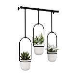 Umbra Triflora Ensemble de 3 pots suspendus, Ajustable Jardinière d'intérieure Suspendue avec Rails, Blanc