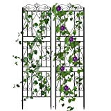UNHO Lot de 2 panneaux de treillis de jardin décoratifs en métal pour plantes grimpantes 182 cm x 50 cm ...