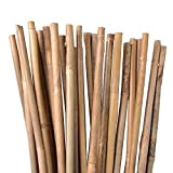 UNUS Lot de 100 Tuteurs en Bambou pour Plantes grimpantes, Tige de Bambou Naturelle, Longueur 120cm
