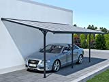Vente-unique Carport pergola adossé en Aluminium 18,8 m² Alvaro - Anthracite