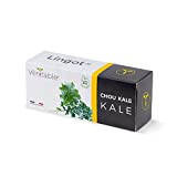 Véritable Collection de Lingots® - Compatible Potager et Exky® (Chou Kale Bio) - Recharge prête à l'emploi - Substrat avec ...