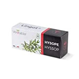 Véritable Lingot® Hysope Bio - Compatible Potager d'Intérieur et Exky® - Recharge prête à l'emploi - Substrat avec Graines Intégrées