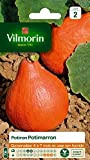 Vilmorin 3486845 Pack de Graines Potiron Potimarron