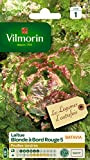 Vilmorin 3605141 Laitue, Vert/Rouge, 90 x 2 x 140 cm