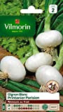 Vilmorin 3725142 Pack de Graines Oignon Printanier Parisien Création Blanc