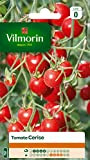 Vilmorin 3974040 Tomate Cerise, Rouge, 90 x 2 x 160 cm