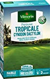 Vilmorin 4309012 Pelouse Tropicale Cynodon Dactylon, Vert, 500 g