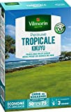 Vilmorin 4344512 Pelouse Tropicale Kikuyu, Vert, 500 g