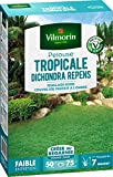 Vilmorin 4346012 Pelouse Tropicale Dichondra Repens, Vert, 500 g