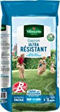 Vilmorin 4462416 Gazon Ultra Résistant, Vert, 5 kg