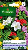 Vilmorin 5165541 Belle de Nuit variée, Multicolore, 90 x 2 x 160 cm